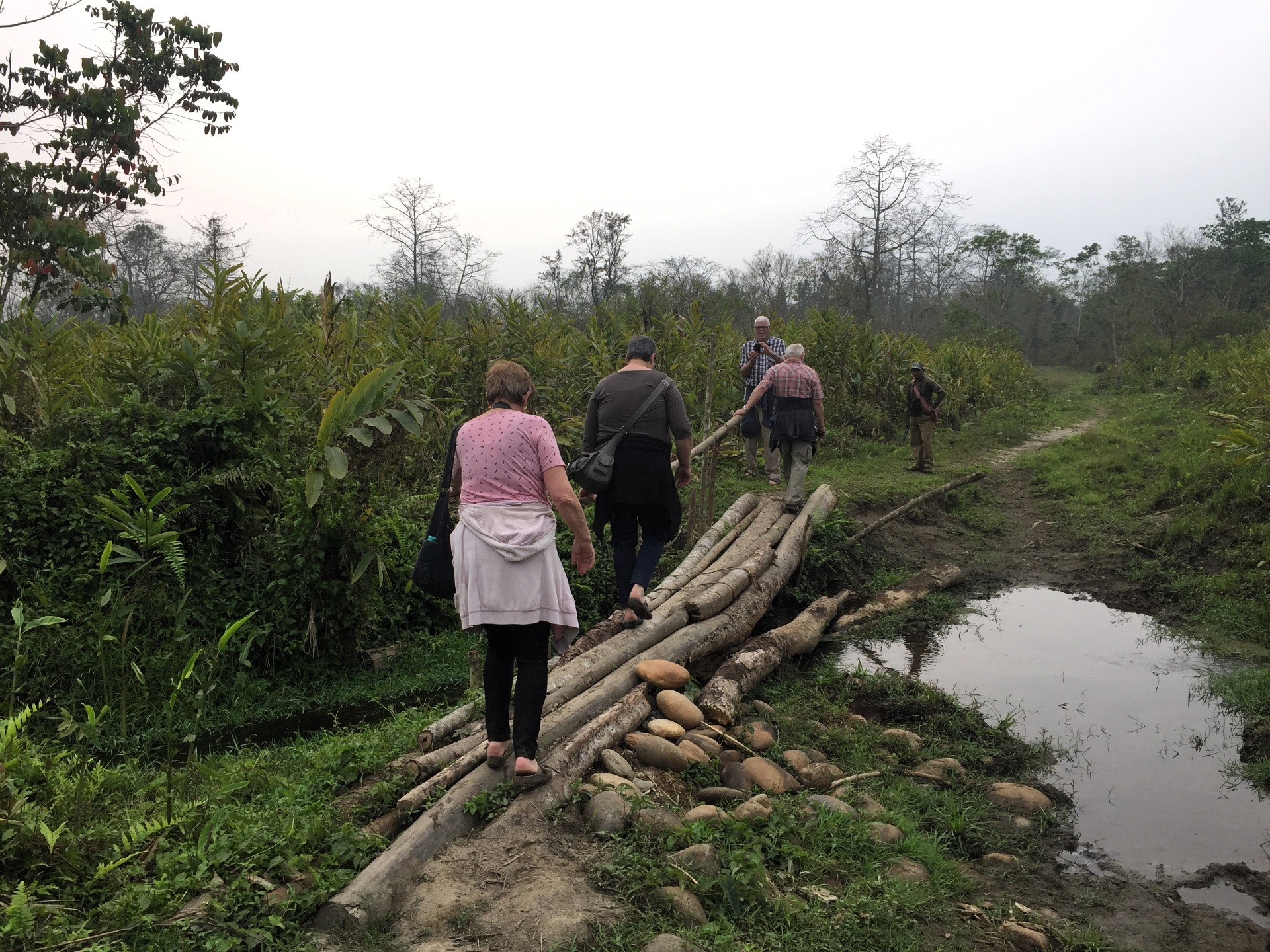 The German travellers walking single file across a bamboo-and-log bridge over a small stream at the edge of Nameri National Park in Assam