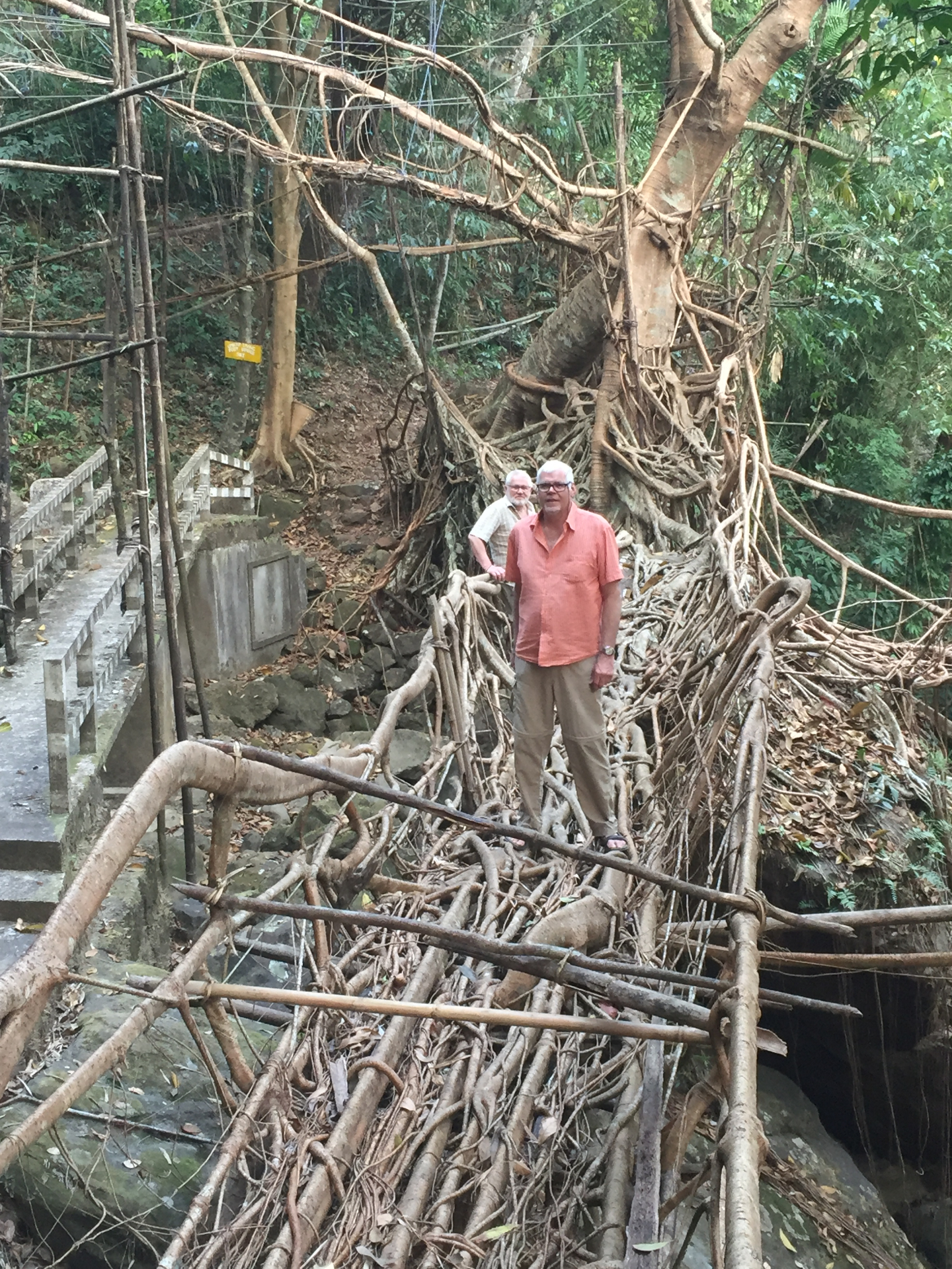 A member of Mr. Buchner's German group standing on the lower tier of the Double Decker Living Root Bridge at Nongriat below Cherrapunjee in Meghalaya