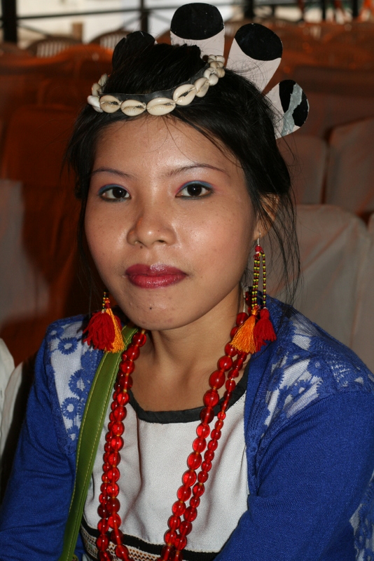 Traditional Kuki village in Peren & Dimapur Districts